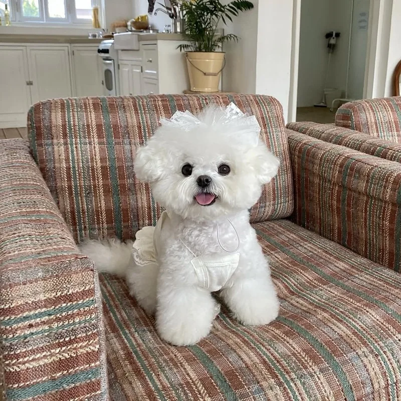 Samll Dog Anti Shedding Skirt Cartoon Print Dog Clothes Thinner Bichon Frise Breathable Suspender Teddy Sweet Dress