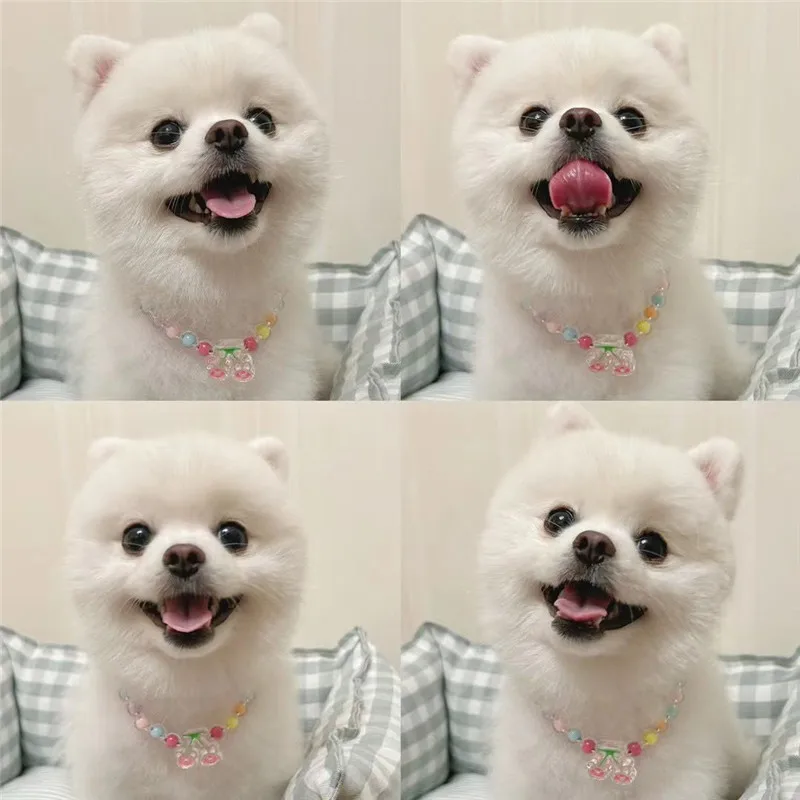 prod_6a9fd7163e6044.96815491.webp