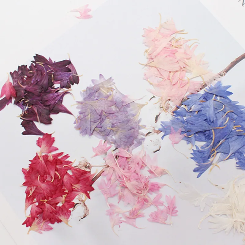 100Pcs Dried Cornflower Flowers, Real Leaves, Real Flower Stickers, Plant Specimens, Dried Flowers, Pressed Flowers, Face Stickers, Petal Makeup