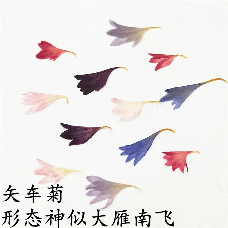 prod_6a9fe198c00ff6.45429984.webp