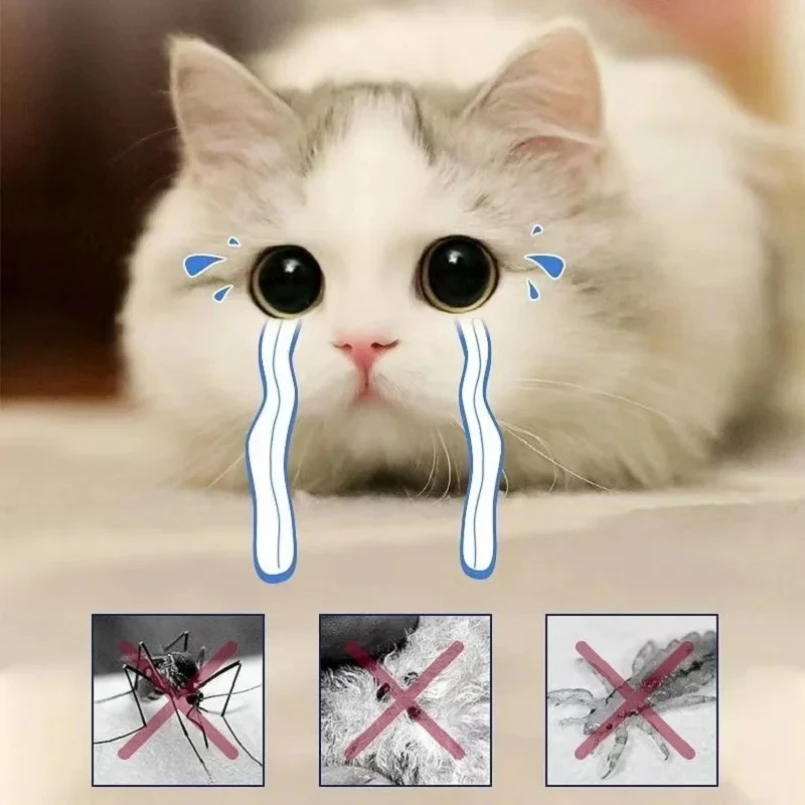 prod_6a9fe5659f0911.77677546.webp