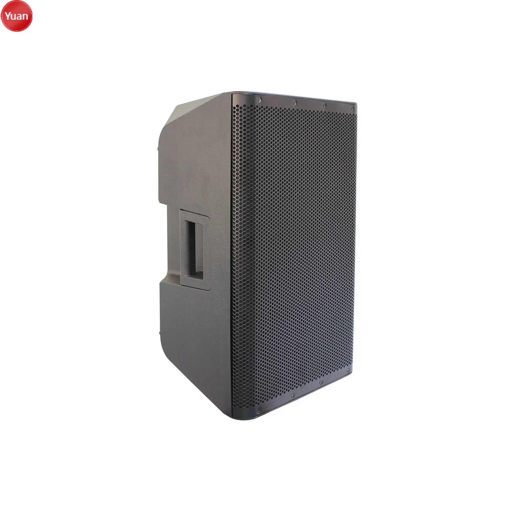 T Professional 12-Inch Altoparlante Portatil Portable Speaker With DSP Portable Audio Player Rechargeable 300W Speakers