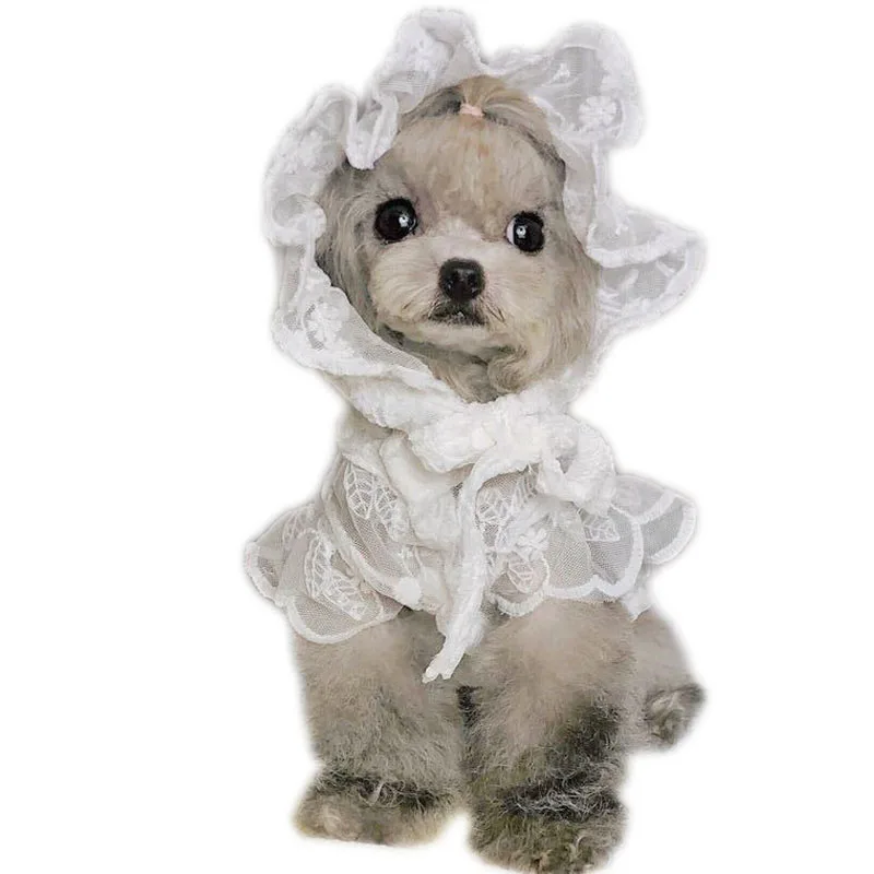 prod_6a9ff944be8b31.63191947.webp