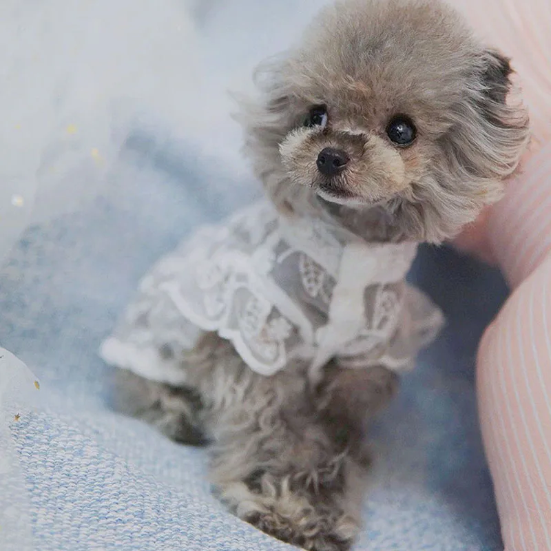 prod_6a9ff94507f215.85083904.webp