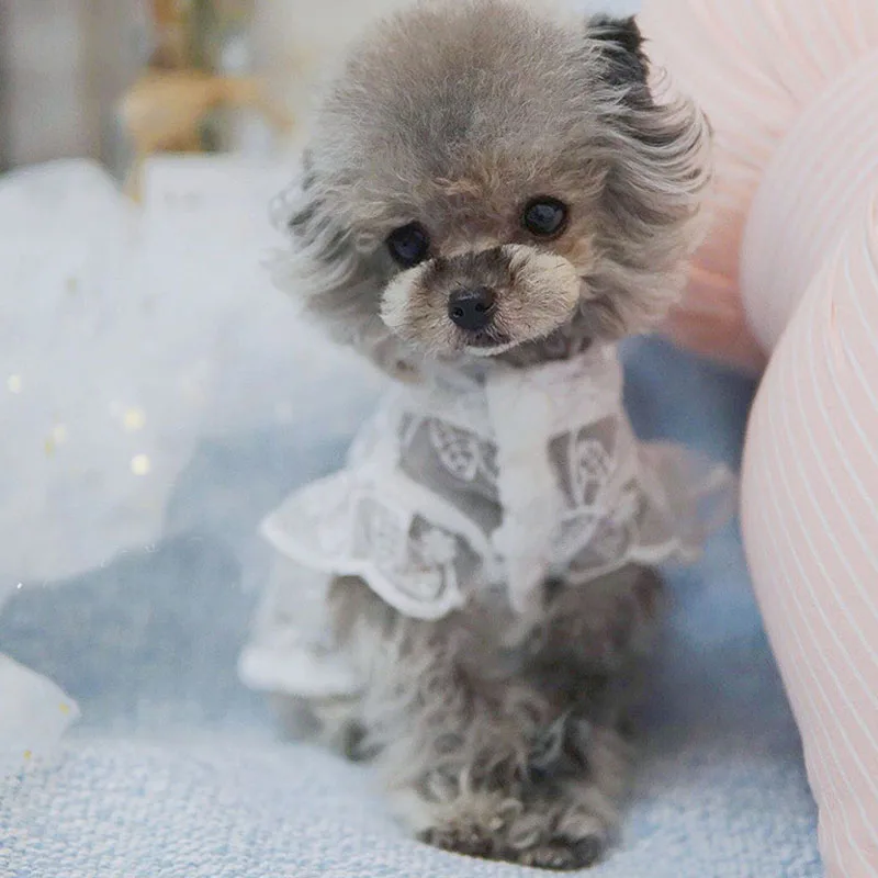 prod_6a9ff94544e8b0.67108110.webp