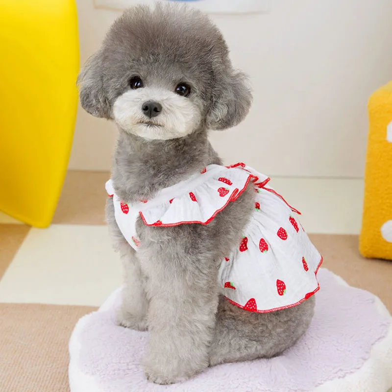 prod_6a9ff94caefa43.67781273.webp