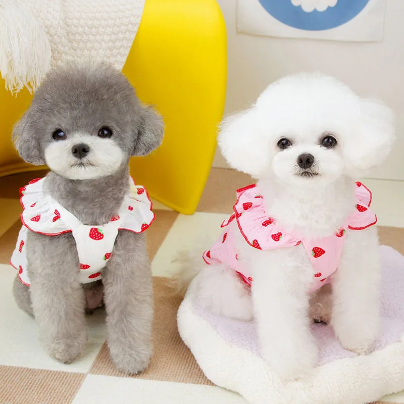prod_6a9ff94ce7a173.10193302.webp