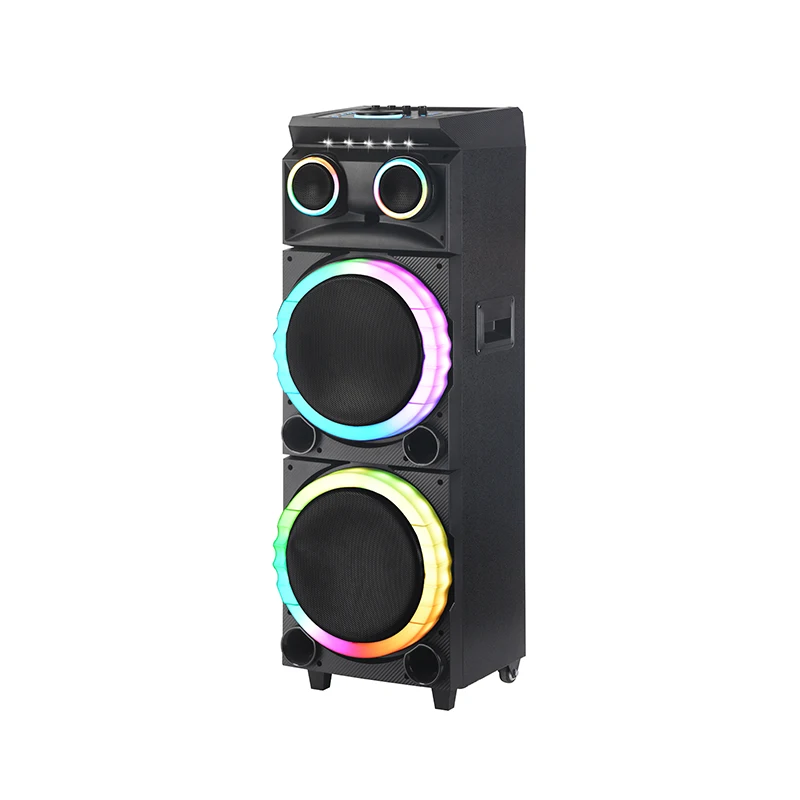 NDR-2102 Professional 100W Wireless Speaker With LED Light Double 12-inch Mic Metal Cabinet Home Outdoor Parties Stage DJ Use