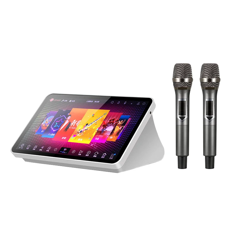 Factory Sale 15.6inch Mini Portable Karaoke Machine Touch Player For Home Party With 2 Wireless Microphones