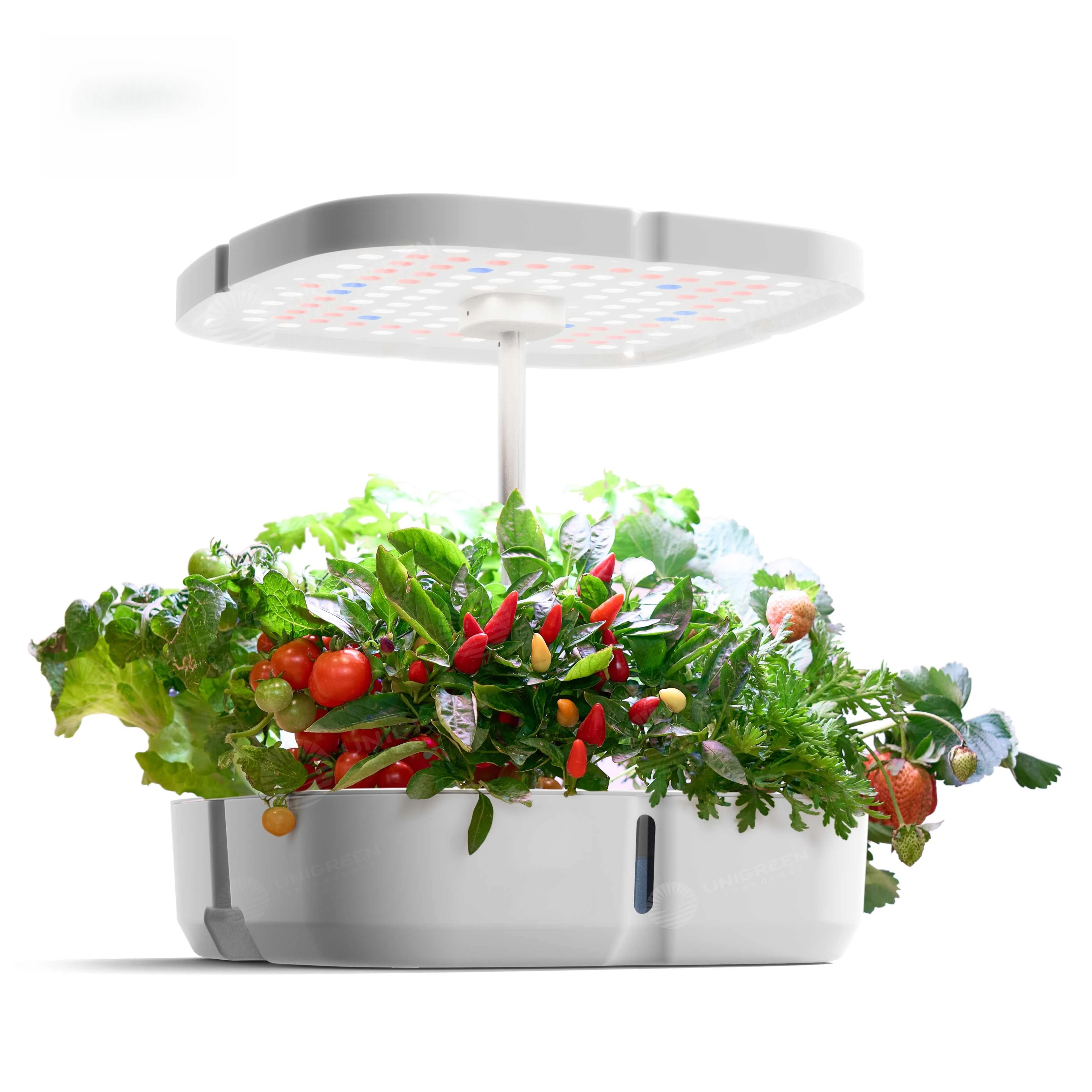 Mini Indoor  Garden System with LED Grow Light Automatic Hydroponic for Home Farm Construction Retail Industries