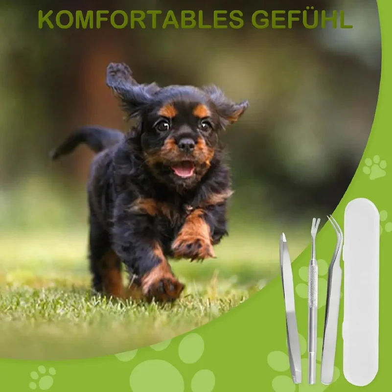 prod_6aa039d2f31747.81270183.webp