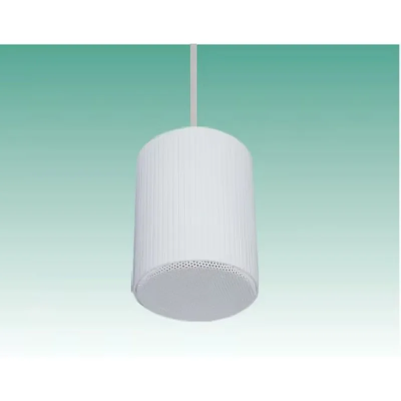 2026 Wholesale 20W Two-way Plastic Ceiling Audio For Speakers IPX-6 Waterproof Adjustable Home Theatre Hotel School Multi-Room