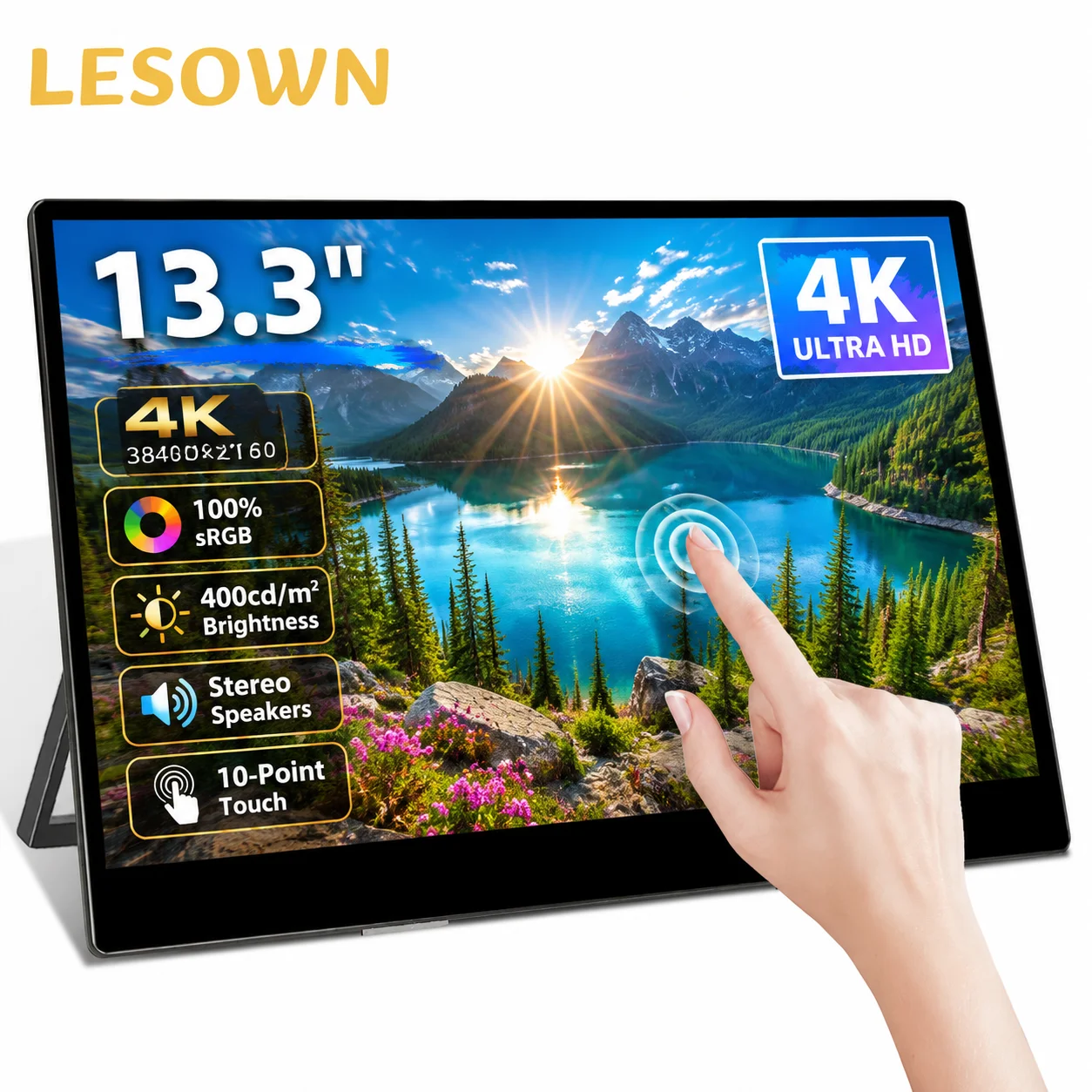 LESOWN 13.3