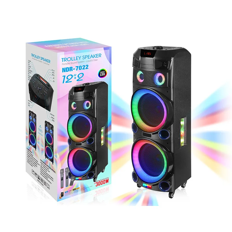 Ningda Electronic Audio Factory's 100W Dual 12\