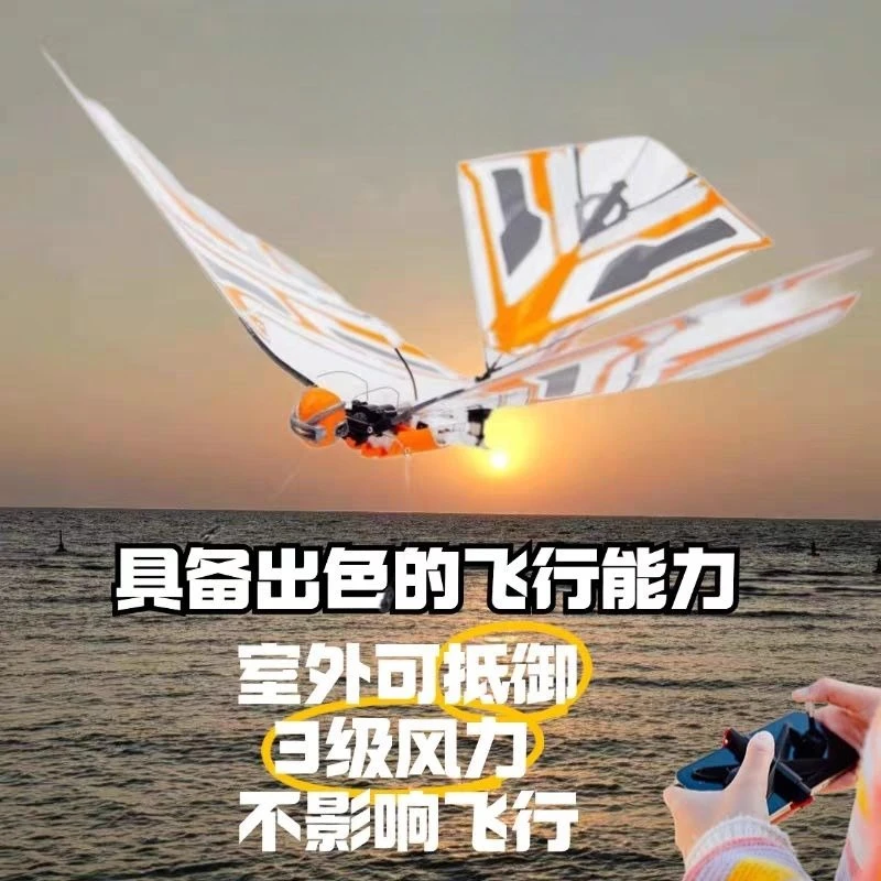 prod_6aa076f793ad14.26572981.webp