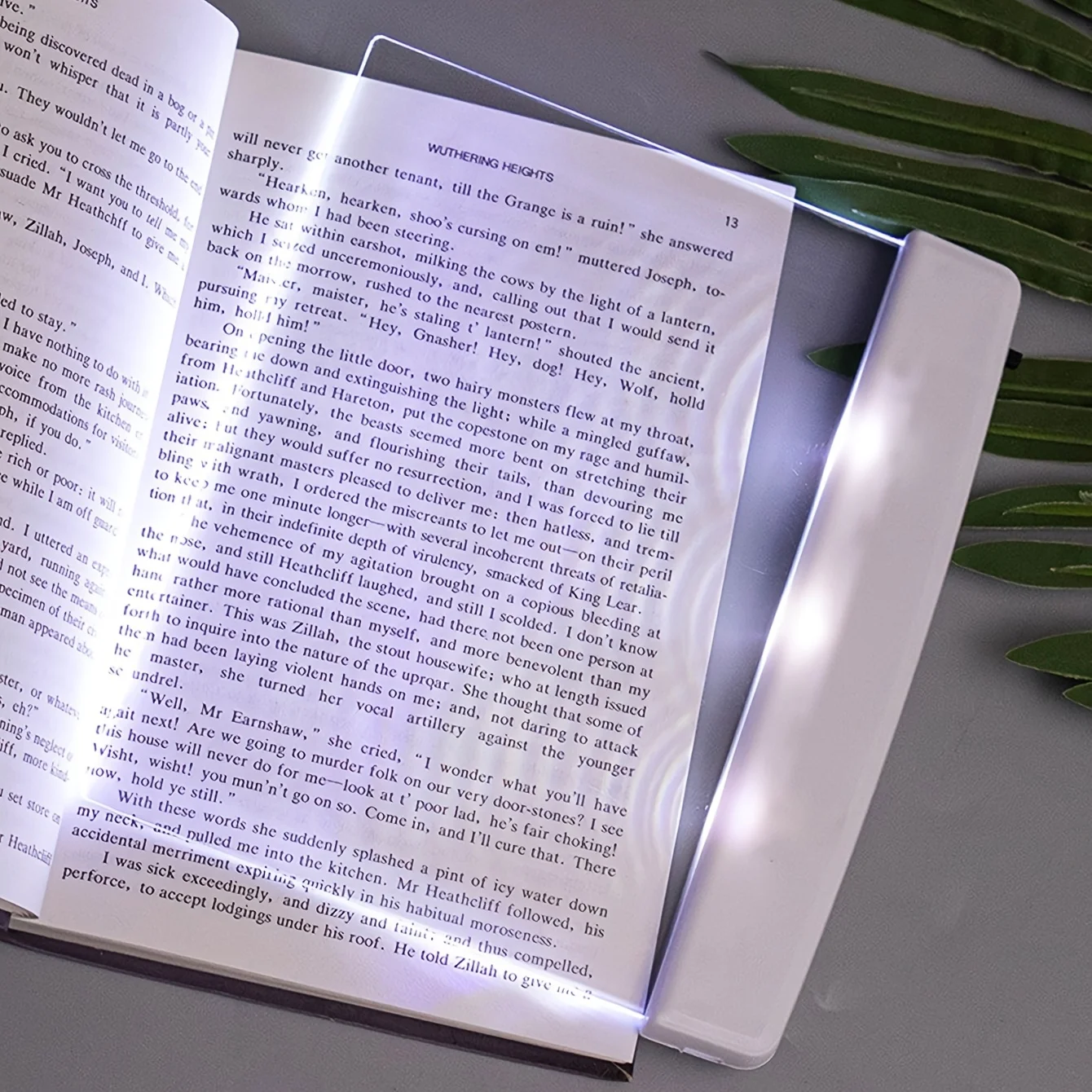 C2 LED Book Light for Reading in Bed Flat Panel Eye-Caring Bookmark Light Portable Reading Lamp Mini Night Light Car Travel Gift