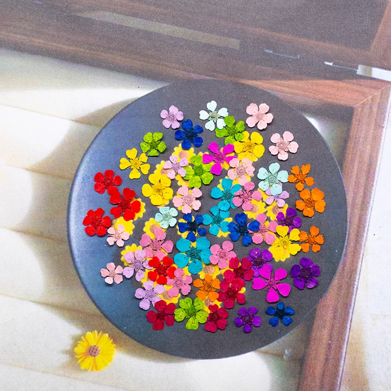 96Pcs Mini 1.5cm Natural Pressed Flowers Colorful Vibrant Pearl Flowers Dried Flowers Pressed Flowers for Nail Art Photography Dried Flowers for Makeup Handmade DIY Resin Accessories Photo Frame Specimens Crafts Decora