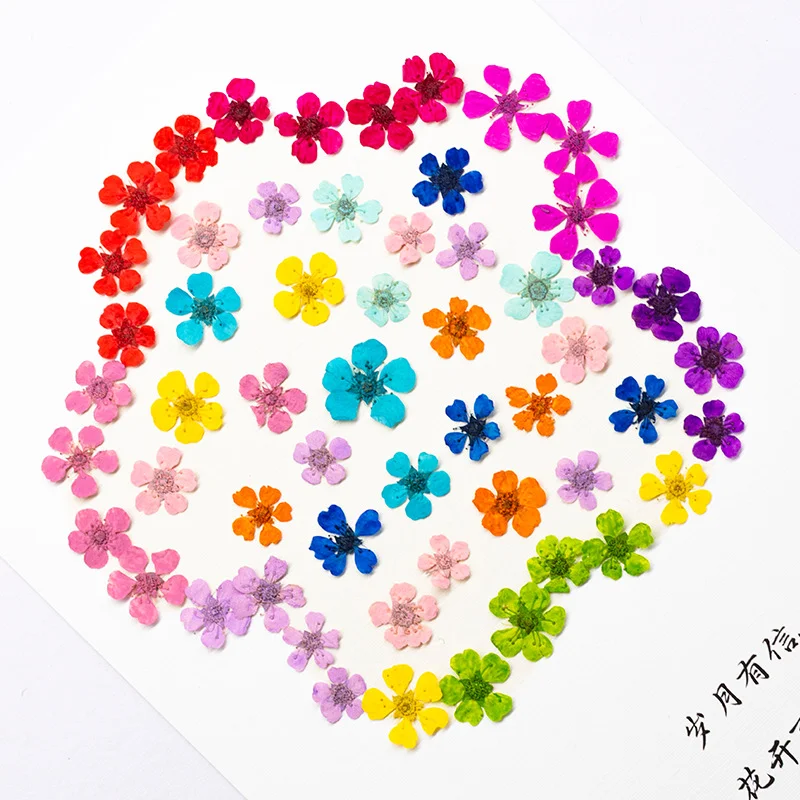 prod_6aa07b9fa563c3.27074700.webp