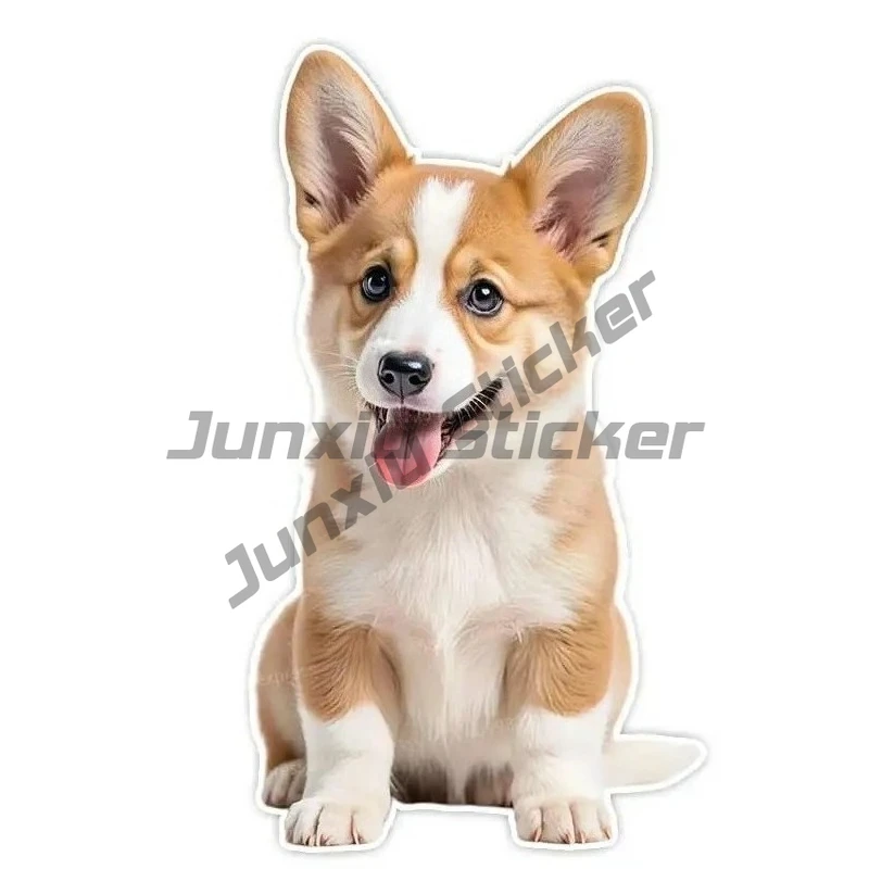 prod_6aa084abd1ec50.76968755.webp
