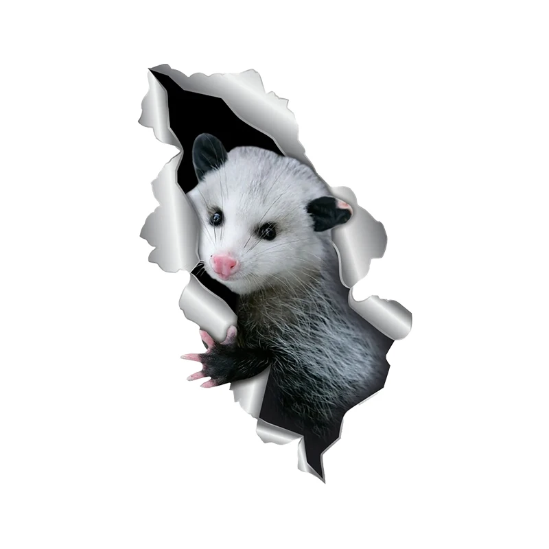 V1119# Car Sticker Opossum Pet Animal Waterproof Vinyl Decal Car Accessories Decor Pegatinas Para Coche