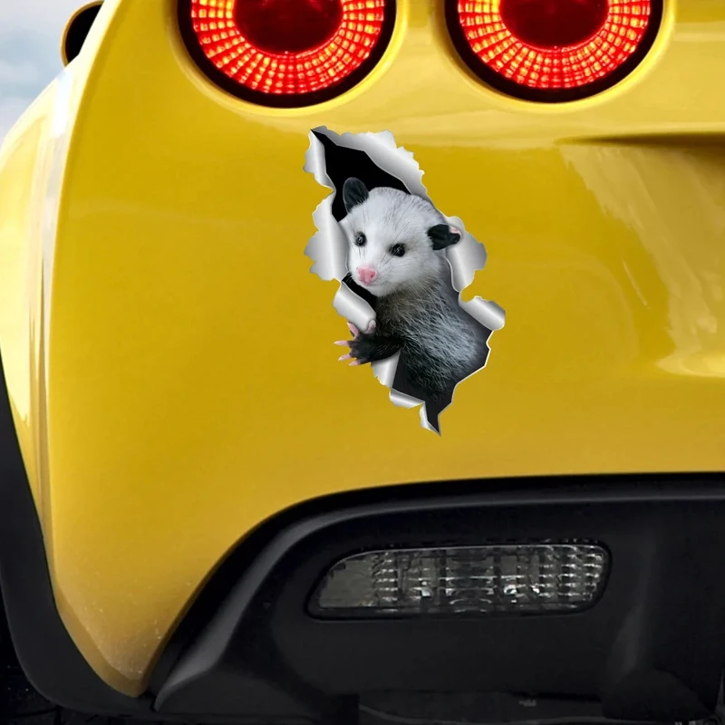 prod_6aa084ae238b65.53530365.webp