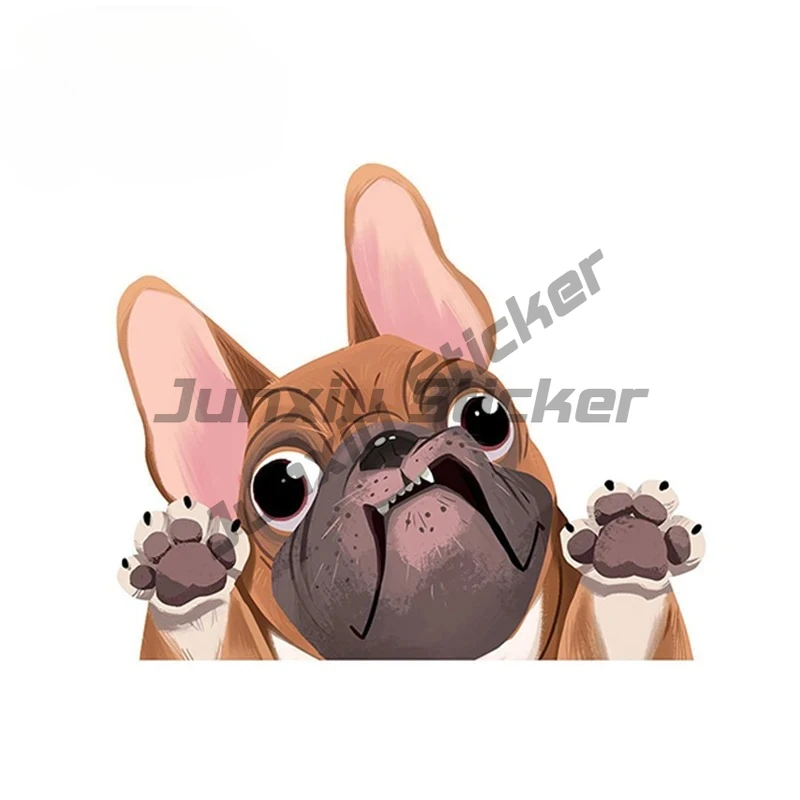prod_6aa084b1e7b1a7.24128494.webp