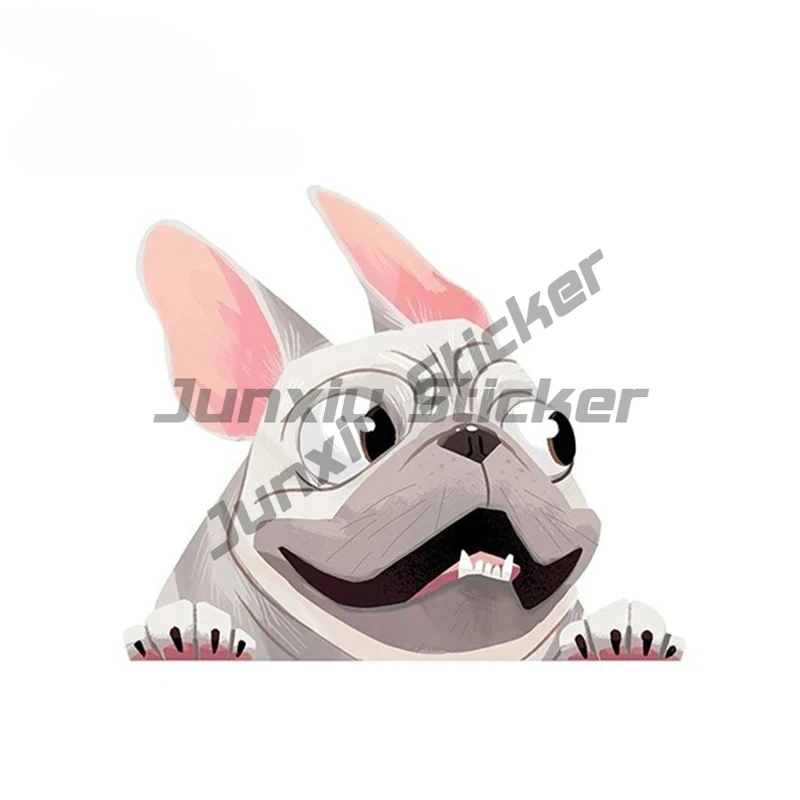 prod_6aa084b2e6d736.88079909.webp