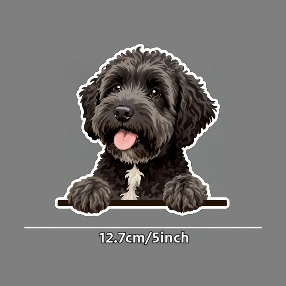 prod_6aa084b48b5f18.18179733.webp