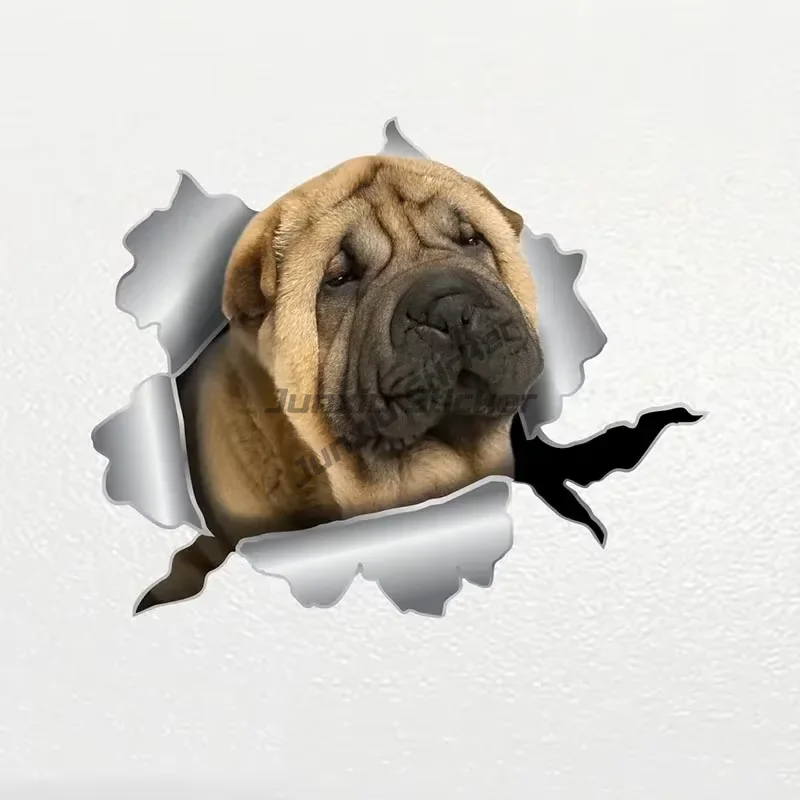 prod_6aa084bdac72b0.87728247.webp