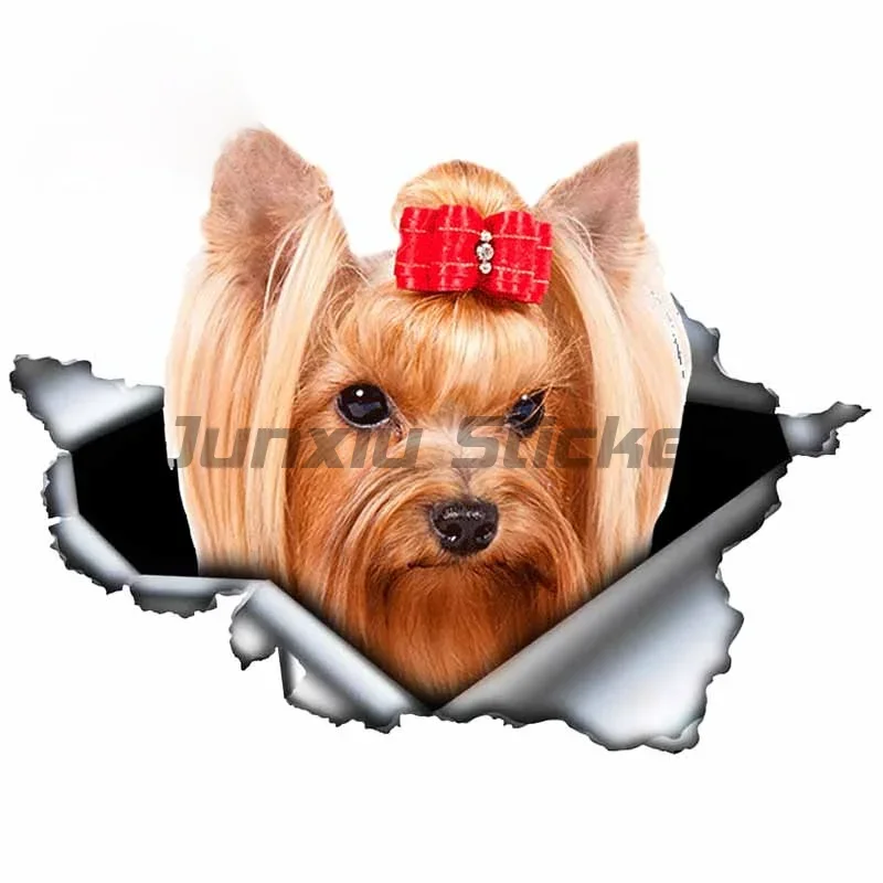 prod_6aa084cb86bb27.23986547.webp