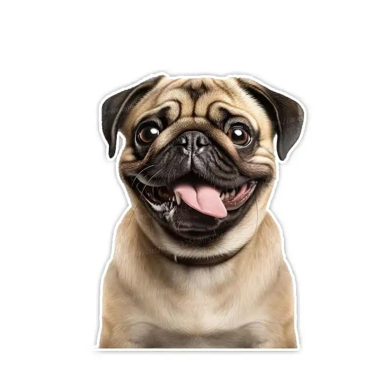 prod_6aa084d0cc6b42.64901222.webp