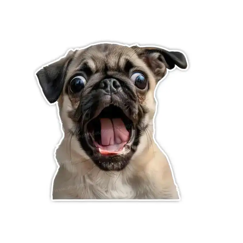 prod_6aa084d12160b0.13262313.webp