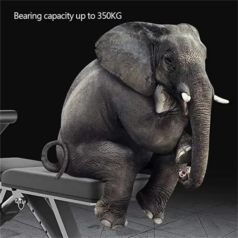 prod_6aa0889446ec94.47182687.webp