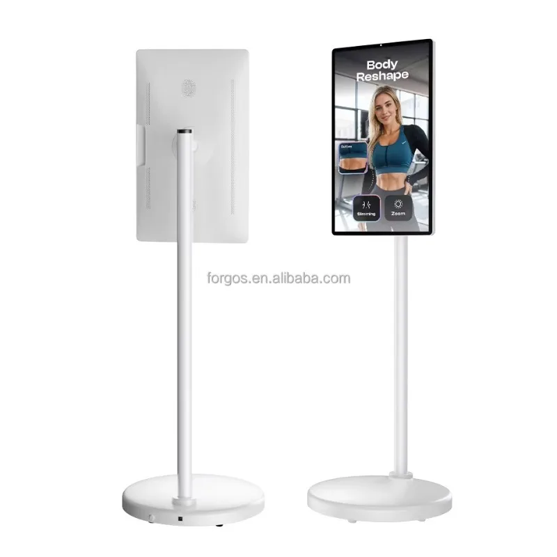 Factory Price 21.5 Inch Wifi Android Smart TV Tablet Standbyme Screen Tv Incell Touch Screen Portable Display
