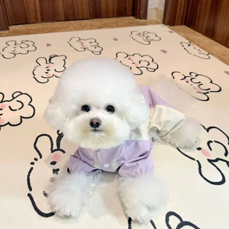 prod_6aa096a14cb701.93467230.webp