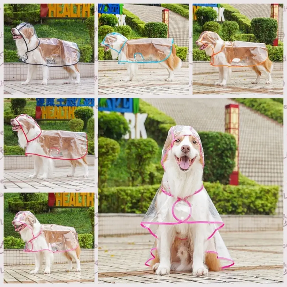 prod_6aa096add5f3a5.55113177.webp