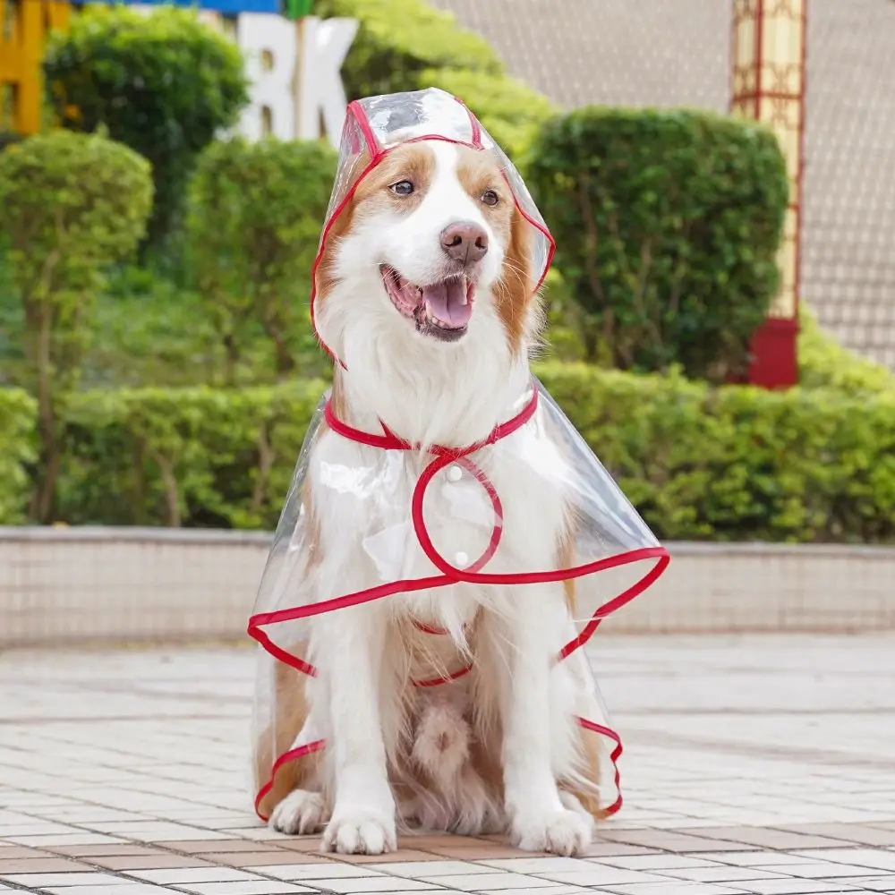 prod_6aa096aeabedd0.86066917.webp