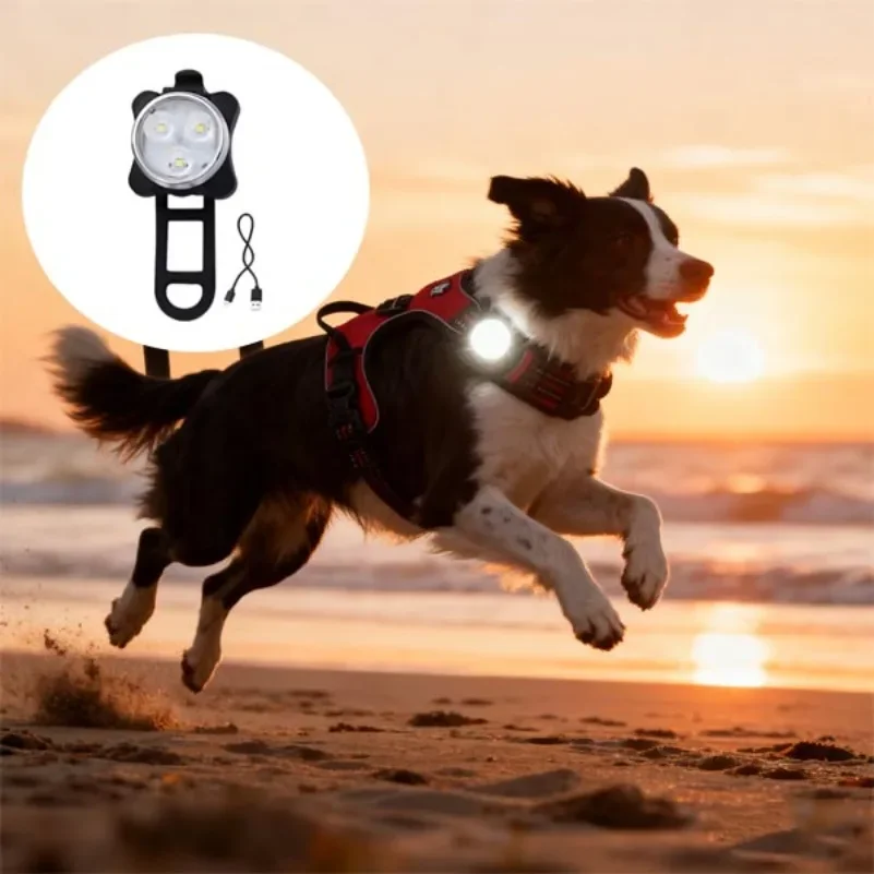 Portable Pet Safety Led Light 4 Modes USB Rechargeable for Outdoor Night Walking Anti-lost Dog Collar Harness Leash Accessories