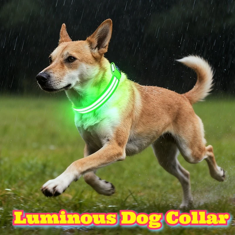 USB Rechargeable LED Dual Fiber Optic Glowing Dog Collar Night Walking Safety Reflective Pet Accessory Charging Cable Enhanced