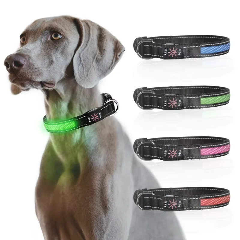 Luminous Pet Dog Ring USB Collar Safety Reminder for Cat Dog OEM ODM Supplier Night Visibility Accessory