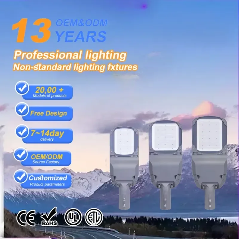 50W IP65 Waterproof Street Light LED Aluminum Housing Outdoor Garden Lamp for Road Park Lighting