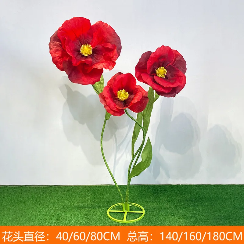 prod_6aa0b530301312.68167604.webp