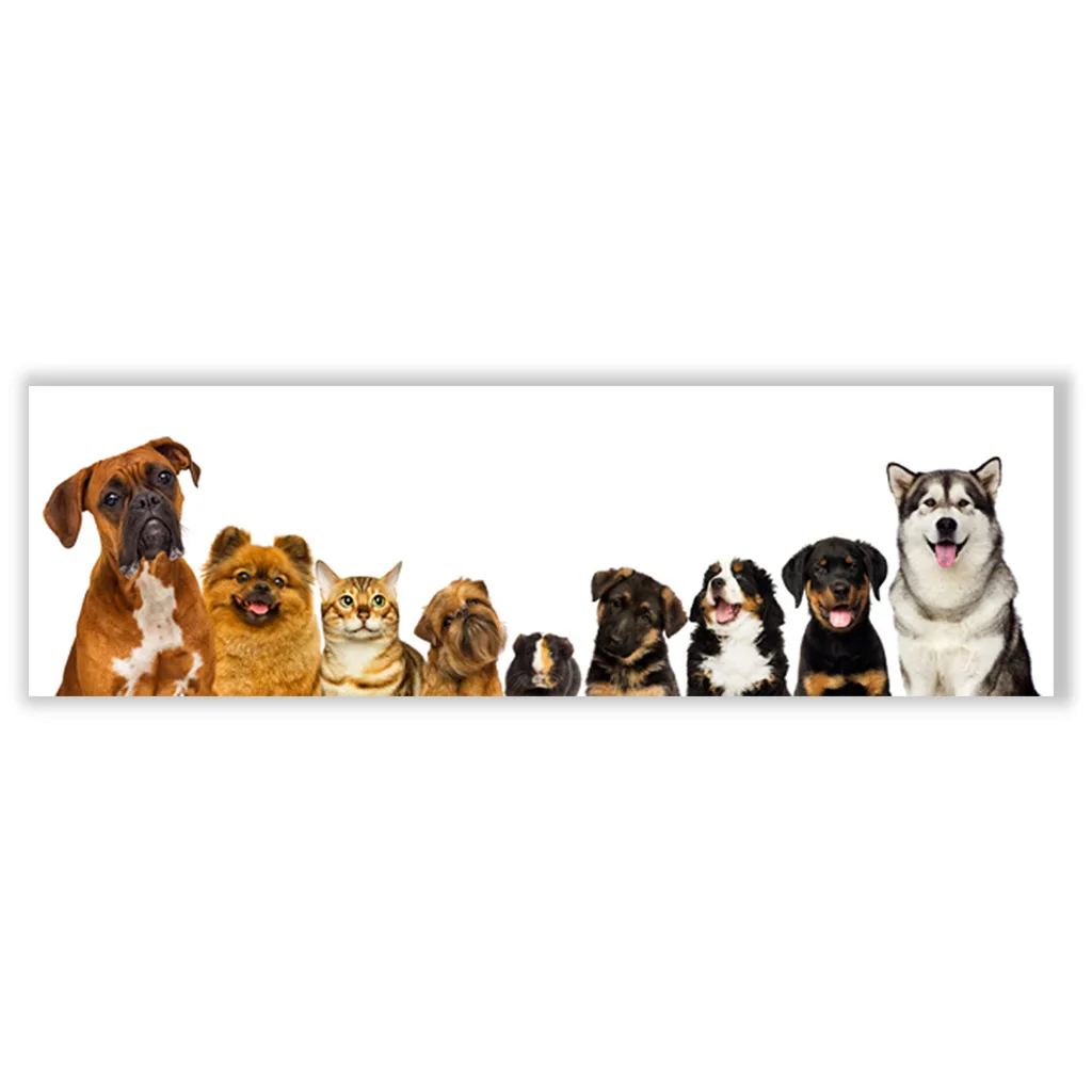 prod_6aa0e75be82854.38142194.webp