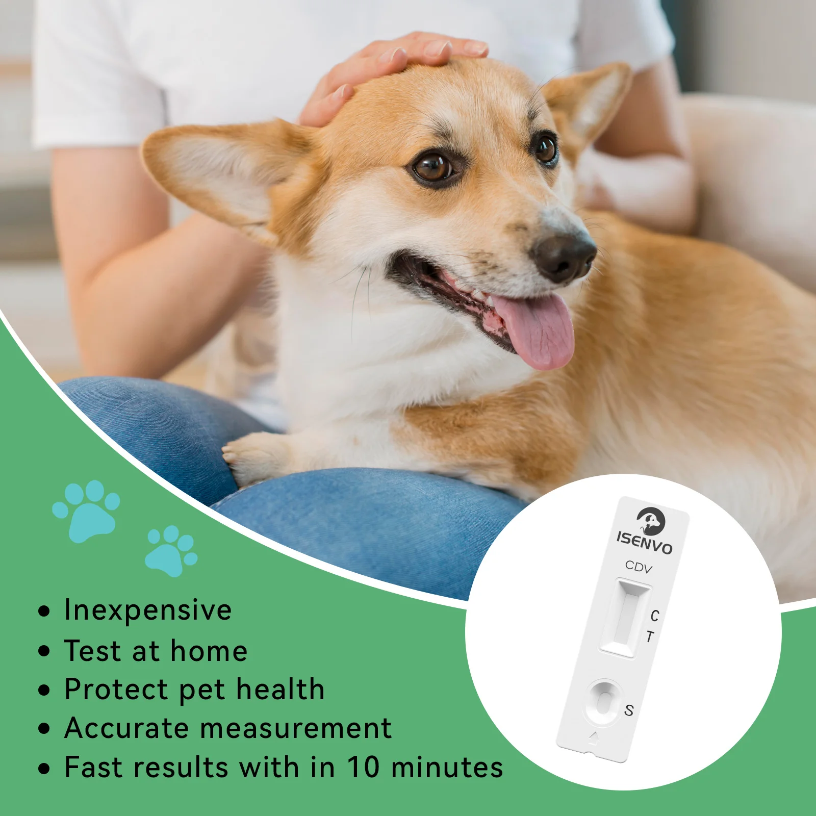 CDV Canine Distemper Virus Test Kit, Fast Rapid Test Kit Pet Home Detection For Dogs