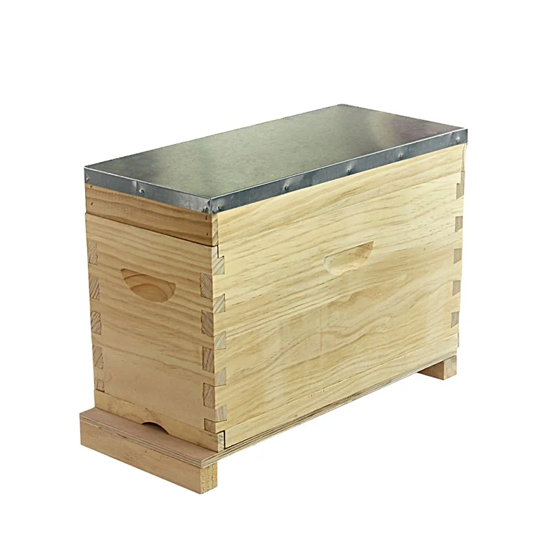 Beekeeping Manufacturers Wooden Nuc Box Dovetail Joint Metal Cover Beehive for Sale Queen Rearing Bee Breeding Hive