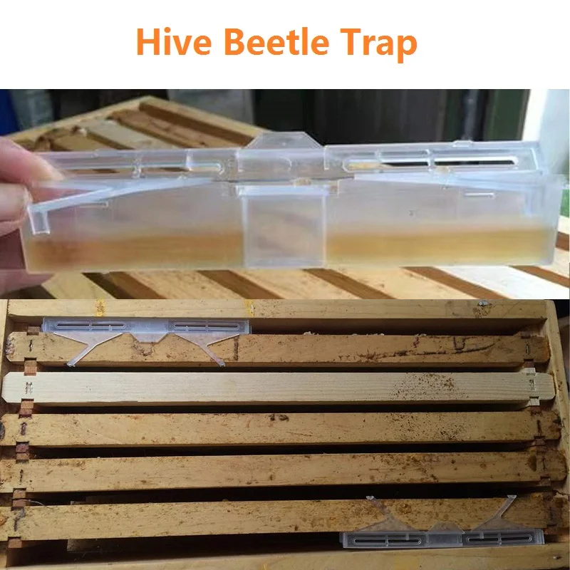 Hive Beetle Trap 10PCS Clear Plastic Reusable Hive Trap Bee Health Suitable For Hive Frame Capture Beetle Beekeeping Tools