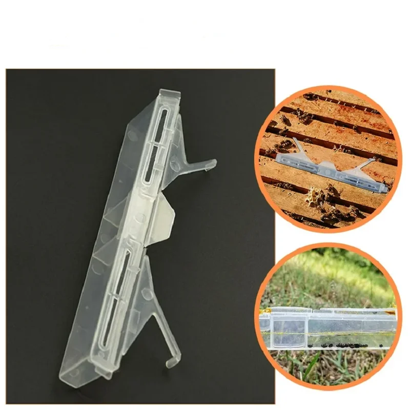 10PCS Reusable Hive Beetle Trap Beehive Baitable Trap Collector Nest Insect Trap Hive Frame Capture Beetle Beekeeping Tools