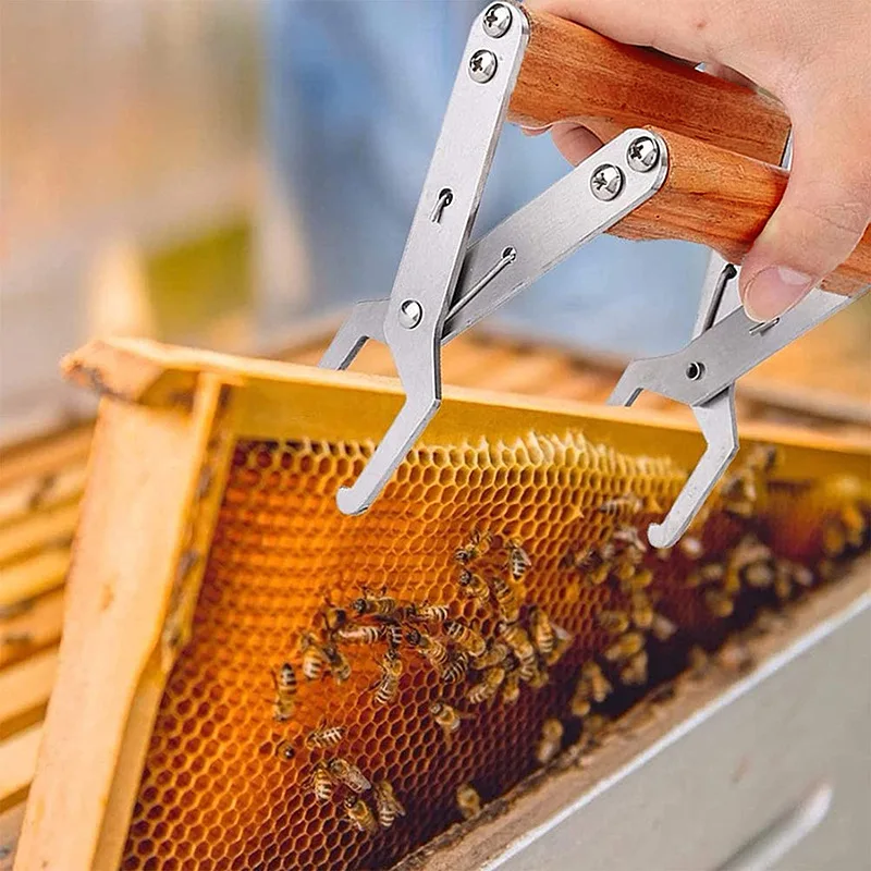 Wooden Handle Bee Frame Gripper Stainless Steel Serrated Jaw Beehive Frame Lifter Beekeeping Tool