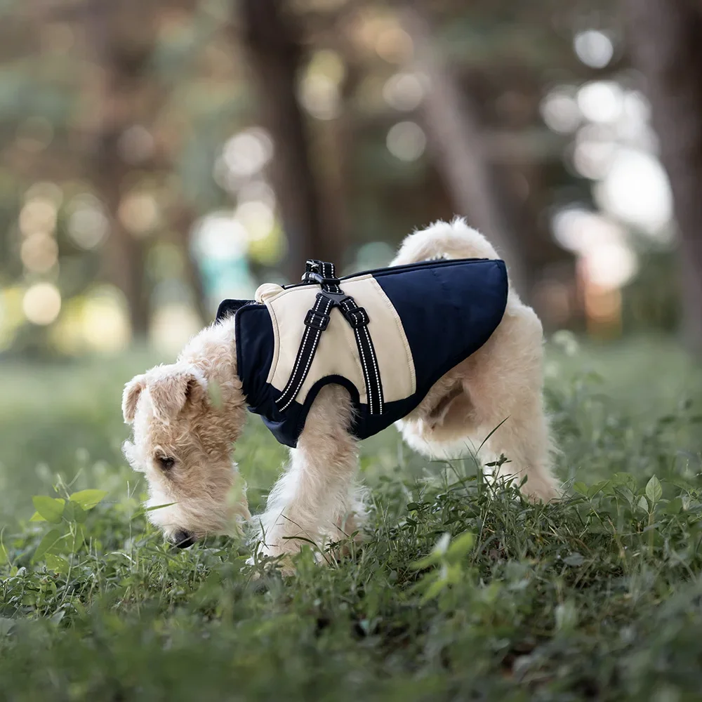 prod_6aa108a1e0d0a3.69852694.webp