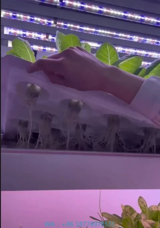 f Greenhouse Agricultural Equipment Grow Mushroom Vegetable FruitVertical Farm Hydroponic Tower System Indoor Planting Shel